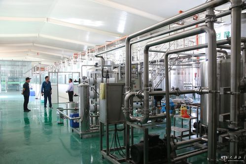 甘肅動力源棗業果酒棗旺棗福上市